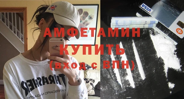мет Алексин