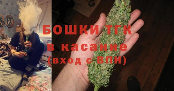мет Алексин