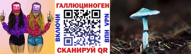 Псилоцибиновые грибы мухоморы  мориарти наркотические препараты  Железногорск-Илимский 