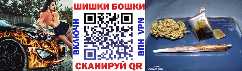 Бошки Шишки сатива  купить наркоту  Железногорск-Илимский 